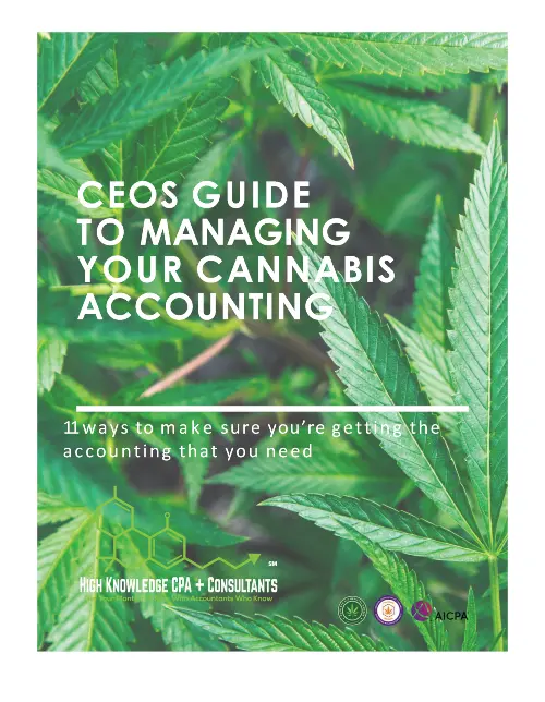 CEOs Guide to Managing Your Cannabis Accounting Department